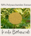 Astragalus 50% polysaccharides Extract Powder 30g